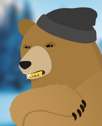 Toque Bear