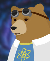 Quantum Bear