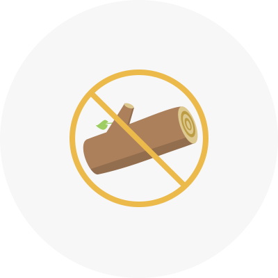 no logging