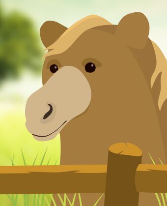 NeighBear