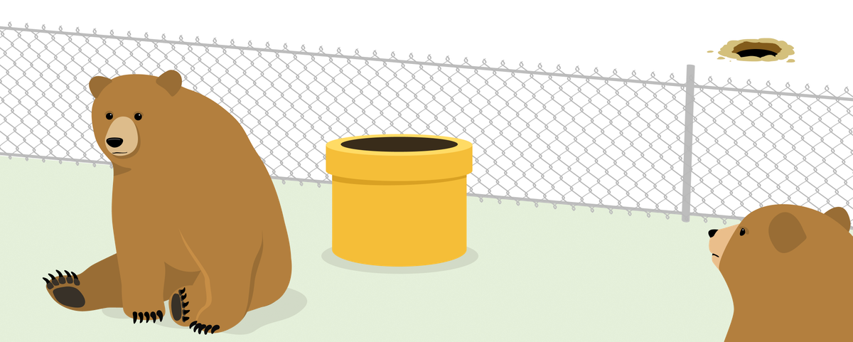 IMPORTANT CHANGES TO TUNNELBEAR FREE USER ACCOUNTS visual data 3